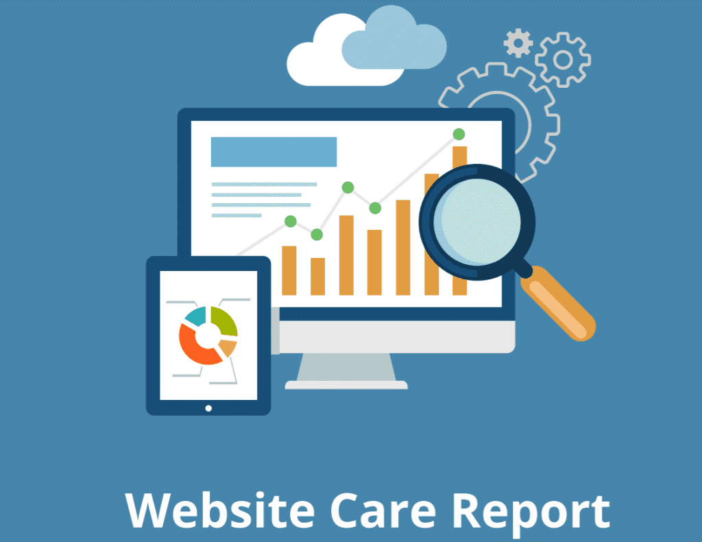 website care report